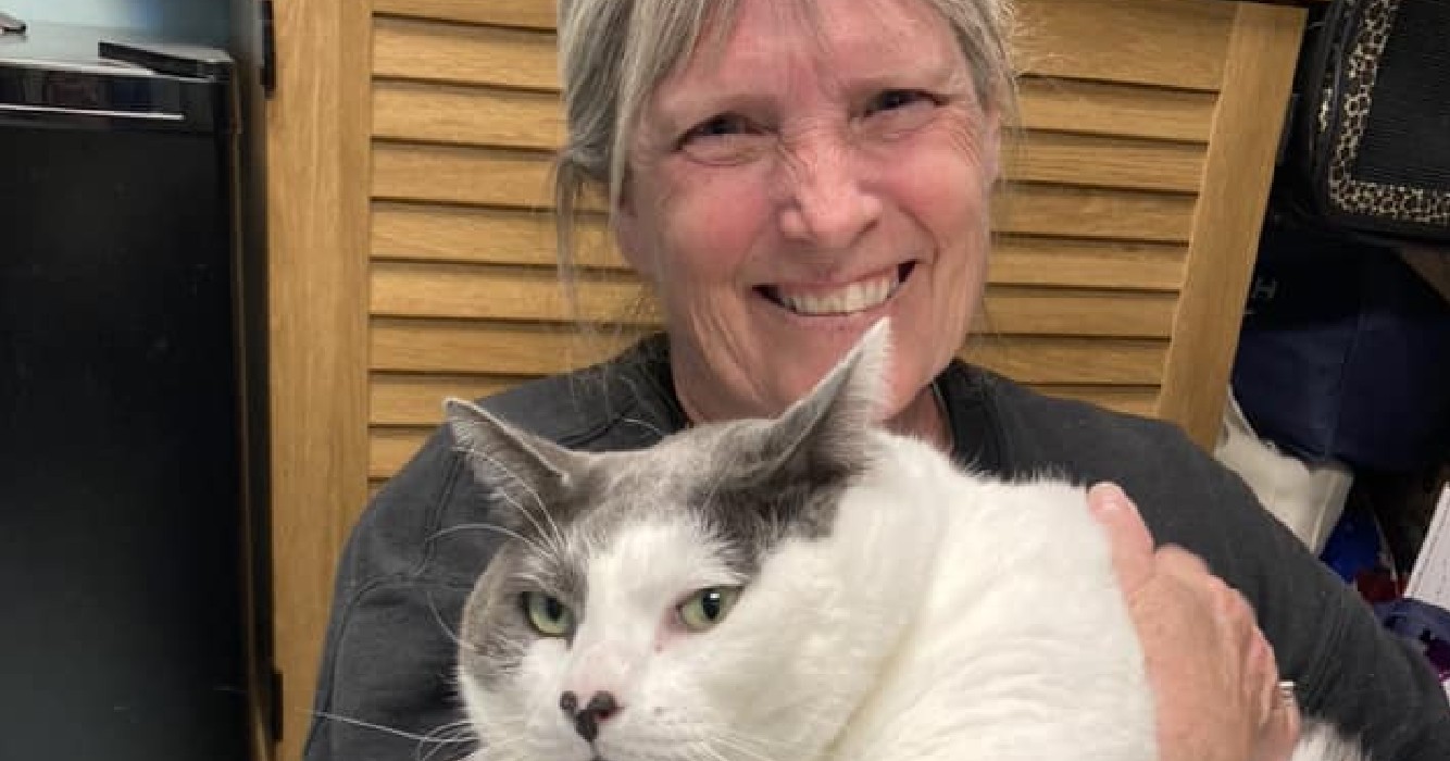 Enorme kat die meer dan 18 kilo weegt wordt uit asiel geadopteerd