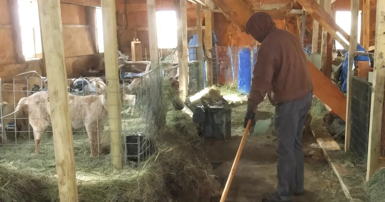 Boer is hard aan het werk in de stal maar zie als zijn favorietje liedje opkomt