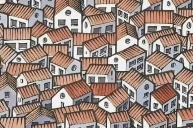 Lukt het jou om binnen 10 seconden de kat op deze tekening te vinden